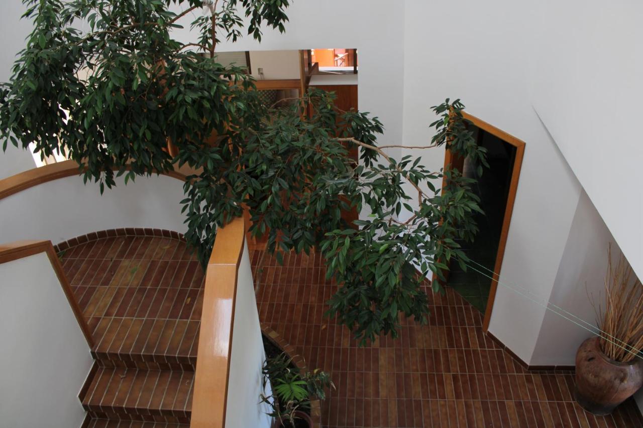 Villa De L'Ebre Deltebre Eksteriør bilde